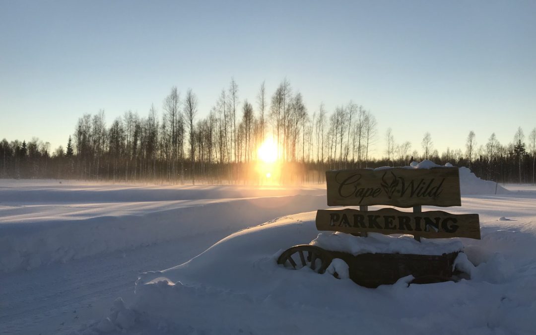 Vägen till Cape Wild